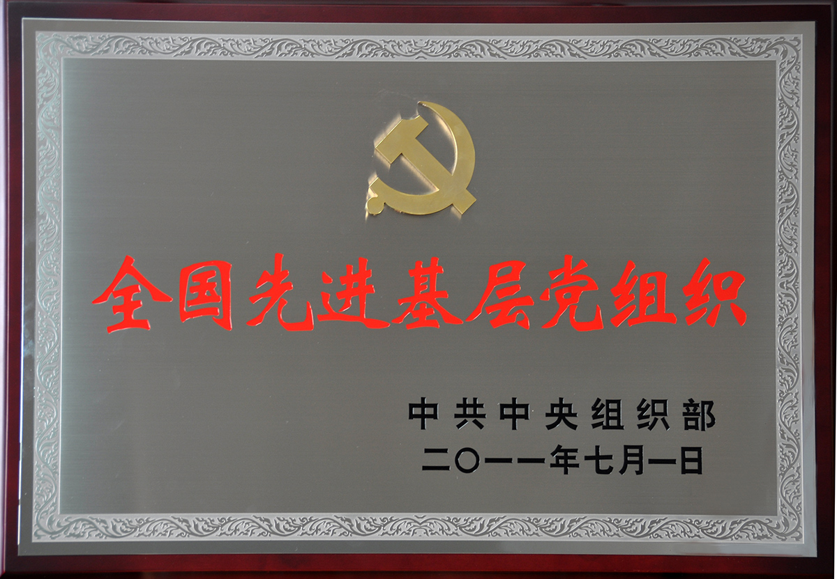 2011年7月，紅豆集團黨委榮獲“全國先進基層黨組織”稱號